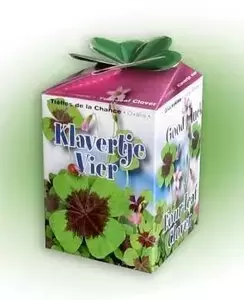 10 stuks -Greengifts, Klavertje-vier Geluksklaver bloemzaden