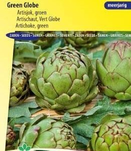Artisjok Vert de Provence zaad, groentezaden