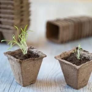 Biopot H6X6X6Cm (20X)