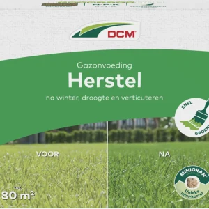 DCM Gazonvoeding Herstel 3 kg