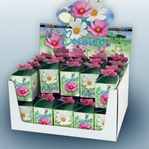 Greengift, Cosmos mix 40 stuks in showdoos