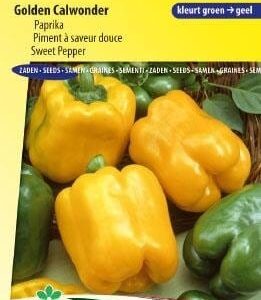 Paprika Golden California wonder zaad, groentezaden