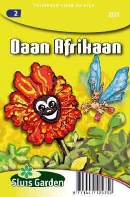 Daan Afrikaan (Tagetes patual Orange Flame)