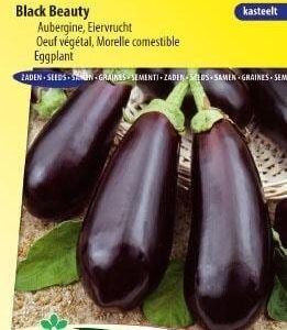 Aubergine Black Beauty zaad, groentezaden